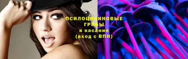 mdpv Волоколамск