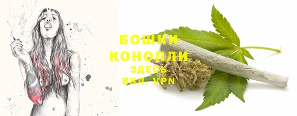 mdpv Волоколамск