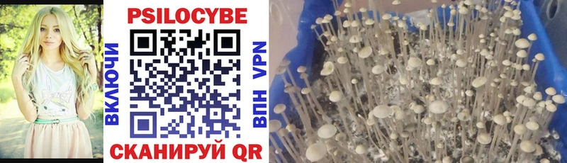 где найти наркотики  blacksprut tor  Галлюциногенные грибы Cubensis  Ува 